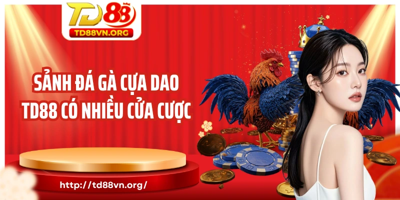 Sảnh đá gà cựa dao TD88 có nhiều cửa cược