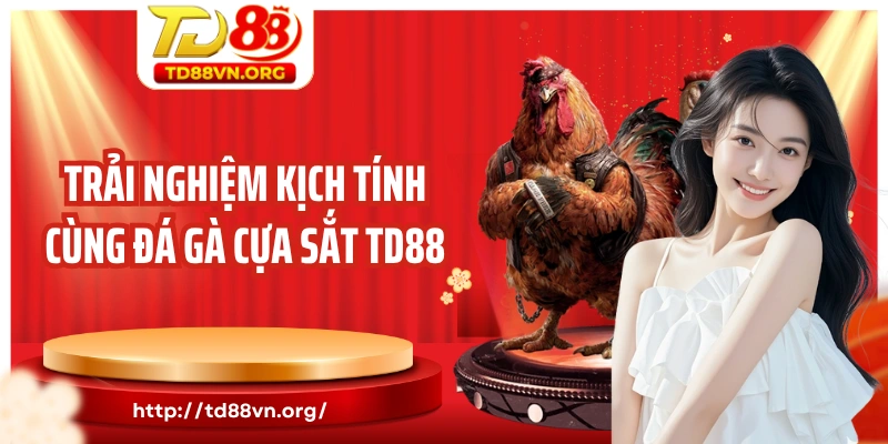 Trải nghiệm kịch tính cùng đá gà cựa sắt TD88